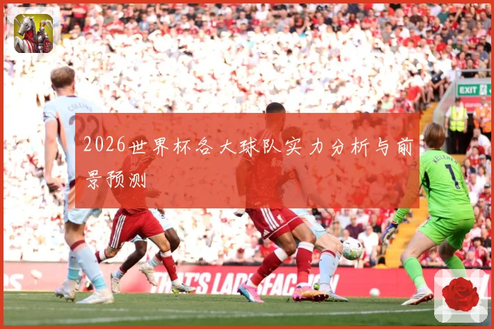 2026世界杯各大球队实力分析与前景预测