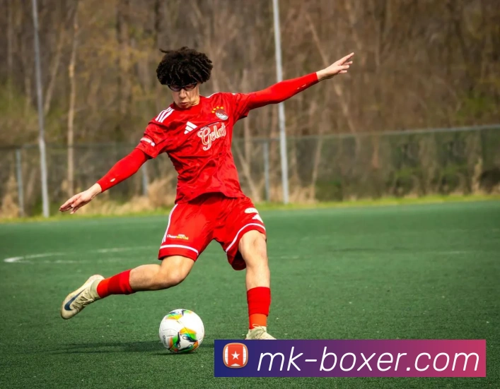 MK体育平台展示图